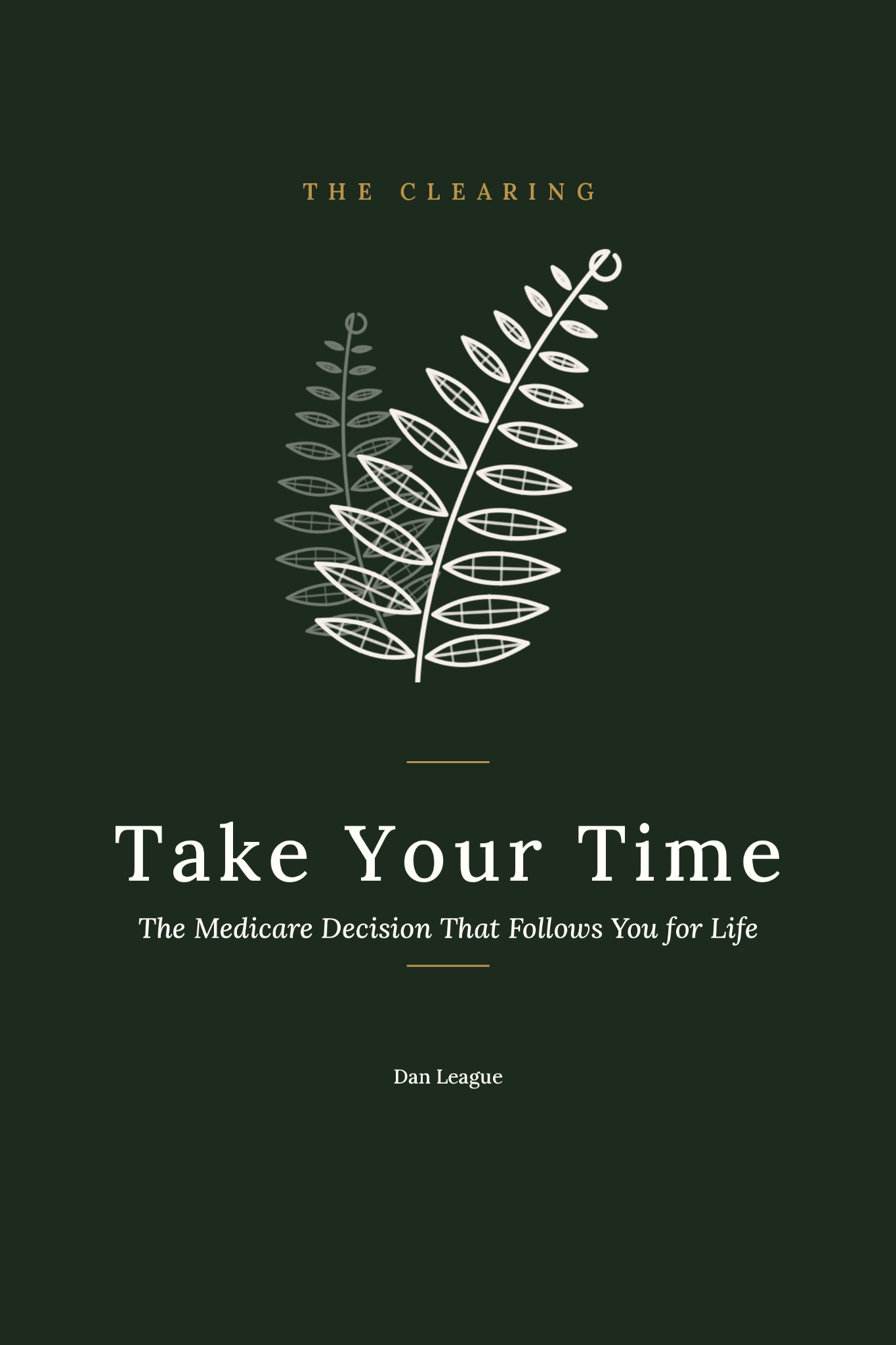 Take Your Time book cover — by Dan League, The Clearing